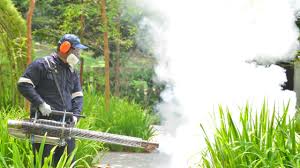 Best Fumigation Services  in New Britain, CT